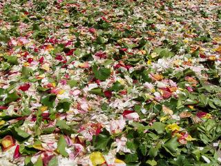 Immagine allegata alla scheda. Per averne una descrizione leggere i dettagli più in basso.