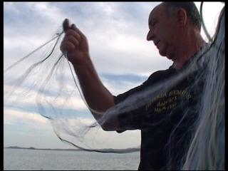 Immagine allegata alla scheda. Per averne una descrizione leggere i dettagli più in basso.