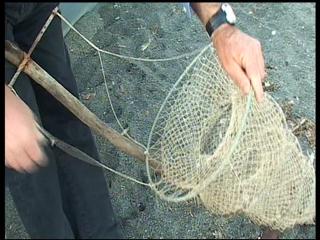 Immagine allegata alla scheda. Per averne una descrizione leggere i dettagli più in basso.