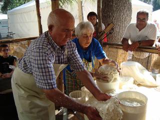 Immagine allegata alla scheda. Per averne una descrizione leggere i dettagli più in basso.
