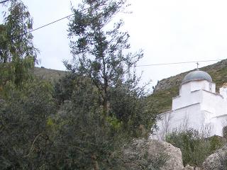 Immagine allegata alla scheda. Per averne una descrizione leggere i dettagli più in basso.