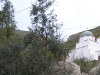 Miniatura della scheda Pellegrinaggio al santuario di Santa Maria La Noce
