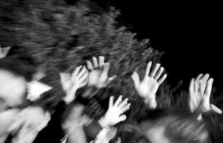 Immagine allegata alla scheda. Per averne una descrizione leggere i dettagli più in basso.