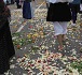 Miniatura della scheda Festa di Sant’Efisio: processione dalla Scafa a Giorgino