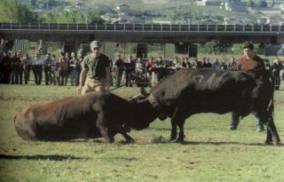 Immagine allegata alla scheda. Per averne una descrizione leggere i dettagli più in basso.
