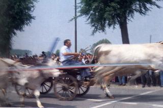 Immagine allegata alla scheda. Per averne una descrizione leggere i dettagli più in basso.