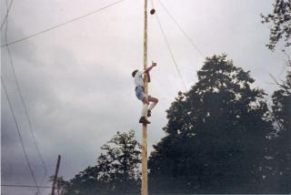 Immagine allegata alla scheda. Per averne una descrizione leggere i dettagli più in basso.