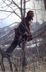 Immagine allegata alla scheda. Per averne una descrizione leggere i dettagli più in basso.