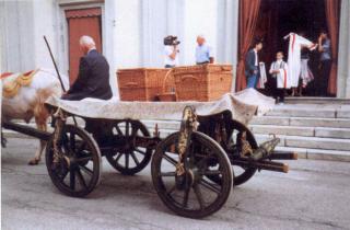 Immagine allegata alla scheda. Per averne una descrizione leggere i dettagli più in basso.