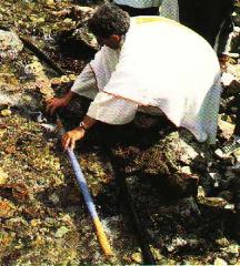 Immagine allegata alla scheda. Per averne una descrizione leggere i dettagli più in basso.