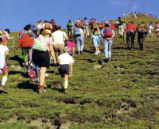 Immagine allegata alla scheda. Per averne una descrizione leggere i dettagli più in basso.