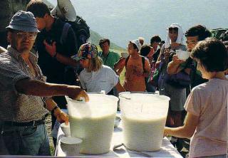 Immagine allegata alla scheda. Per averne una descrizione leggere i dettagli più in basso.