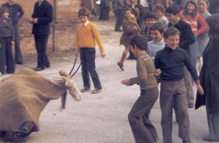 Immagine allegata alla scheda. Per averne una descrizione leggere i dettagli più in basso.