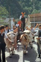 Immagine allegata alla scheda. Per averne una descrizione leggere i dettagli più in basso.