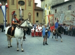 Miniatura della scheda Festa di S.Costanzo