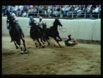 Miniatura della scheda Palio di Asti