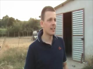 Immagine allegata alla scheda. Per averne una descrizione leggere i dettagli più in basso.