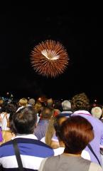 Immagine allegata alla scheda. Per averne una descrizione leggere i dettagli più in basso.