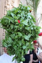 Immagine allegata alla scheda. Per averne una descrizione leggere i dettagli più in basso.