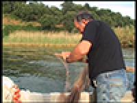Miniatura della scheda Tecniche tradizionali di pesca nel lago di Bolsena: #mettere l'artavello ceco# (o #artavellone#) per la pesca dei #lattarini#
