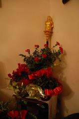 Immagine allegata alla scheda. Per averne una descrizione leggere i dettagli più in basso.